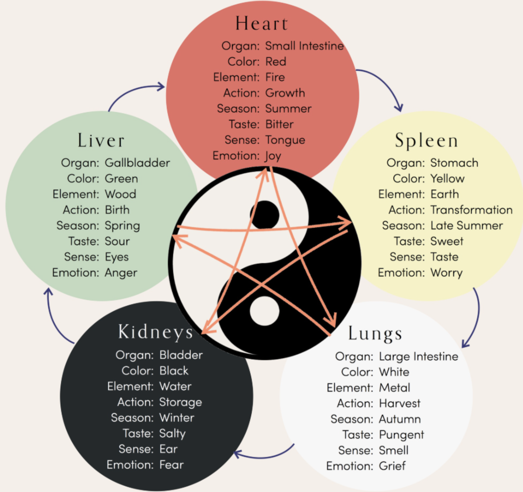 spleen qi deficiency symptoms chart