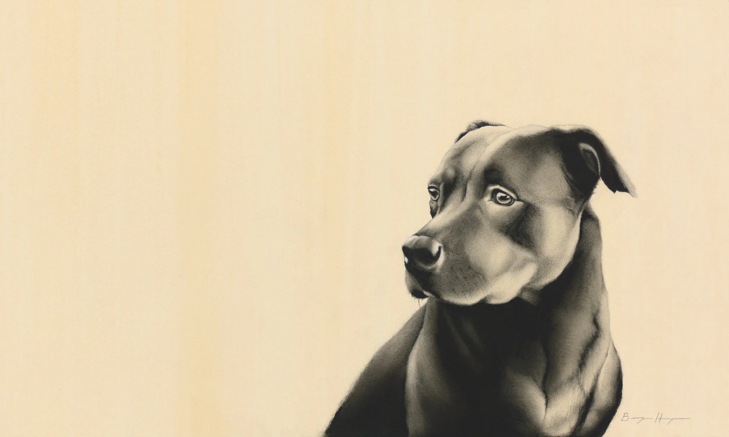 Messages Image(1668535885).JPEG