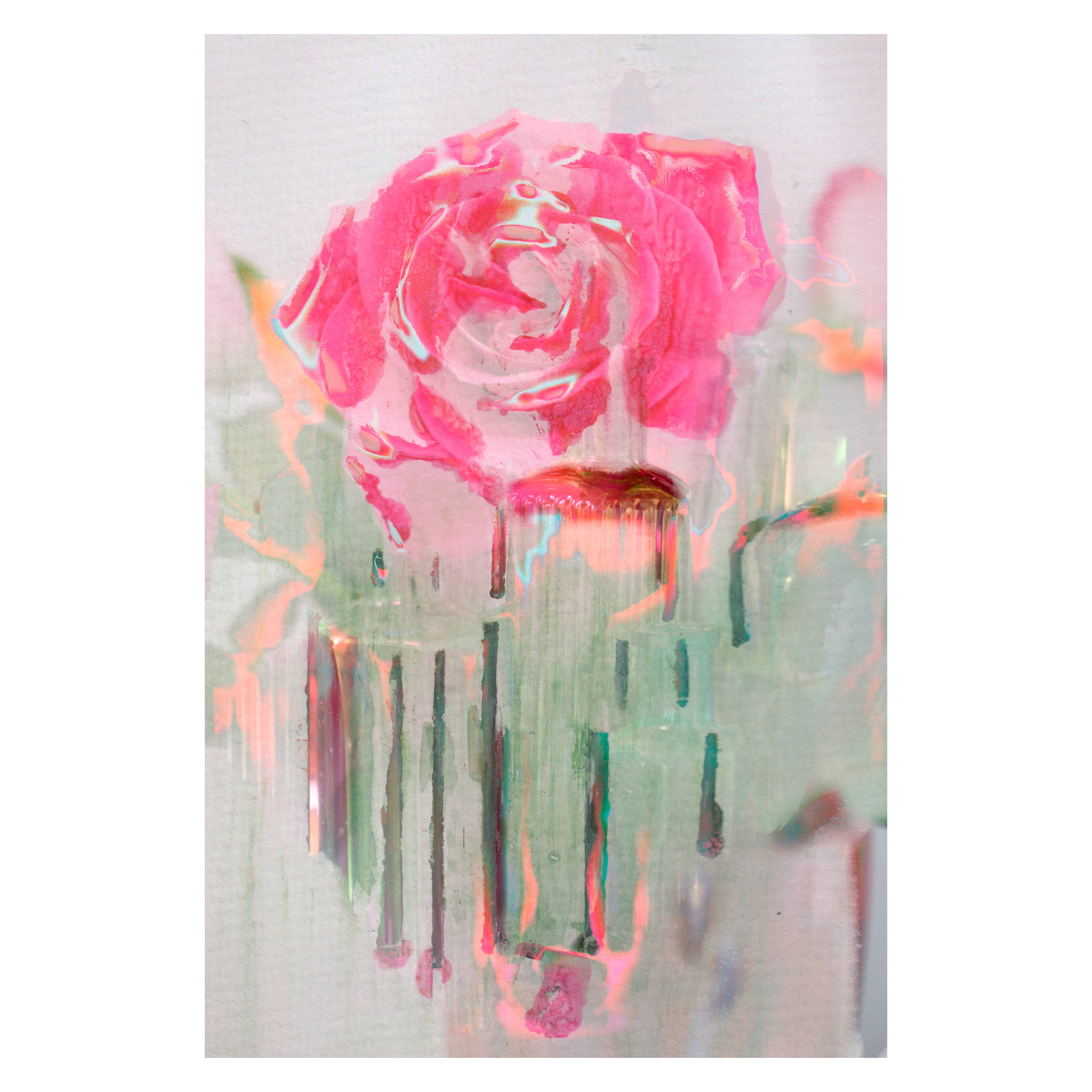Artist’s impression of the rose garden.