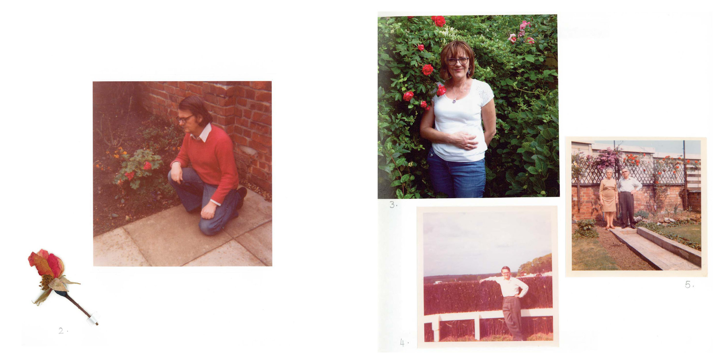 Family album.