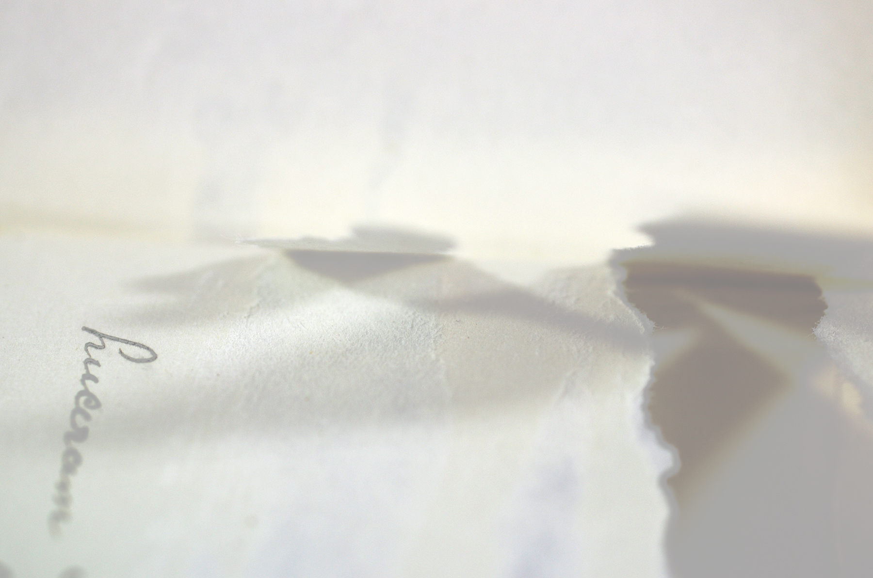 tear1 copy.jpg