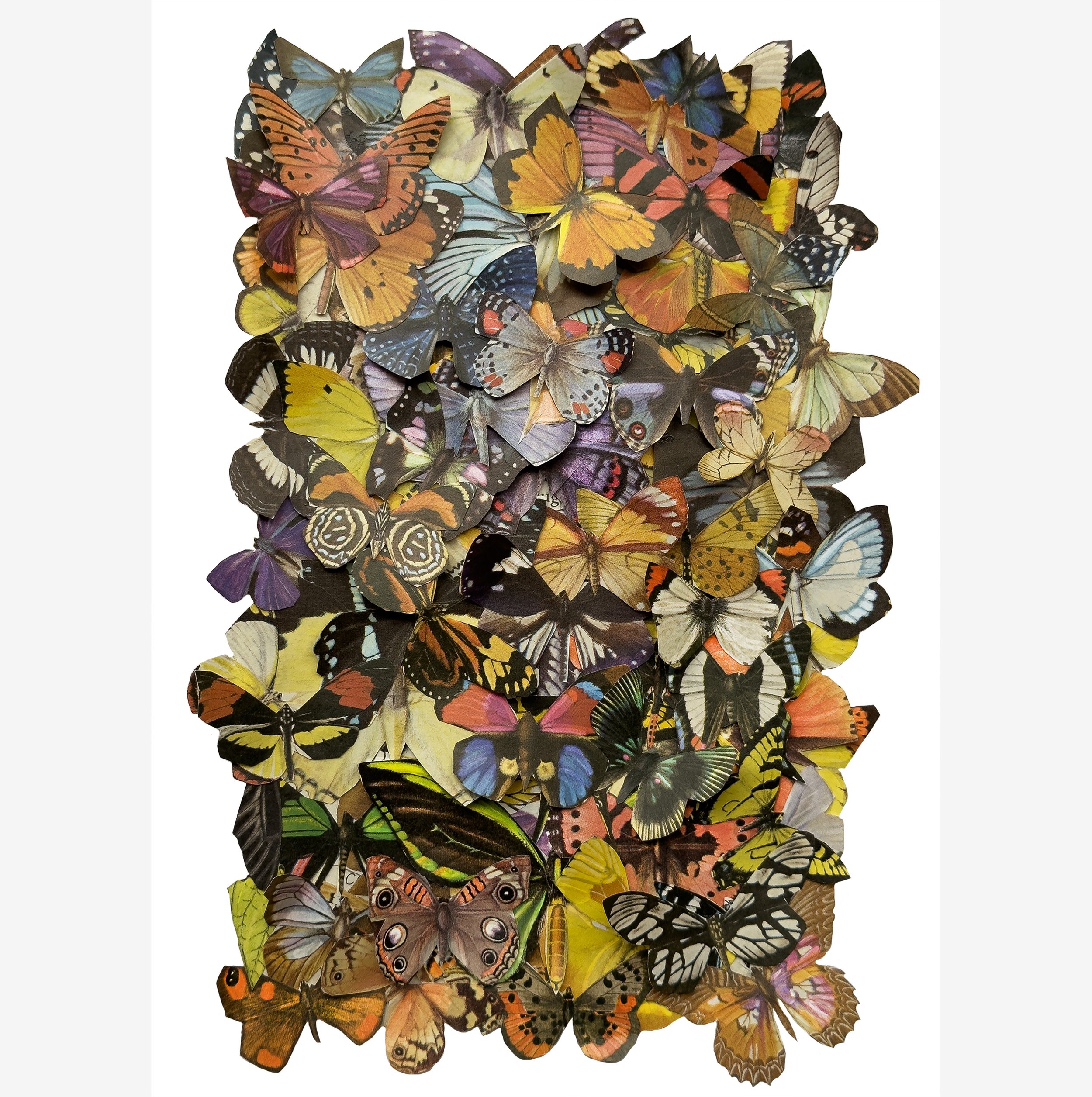 Butterflies bamboo print