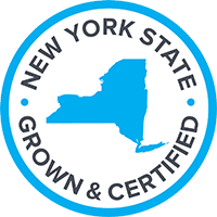 nys_logo_transparent.png