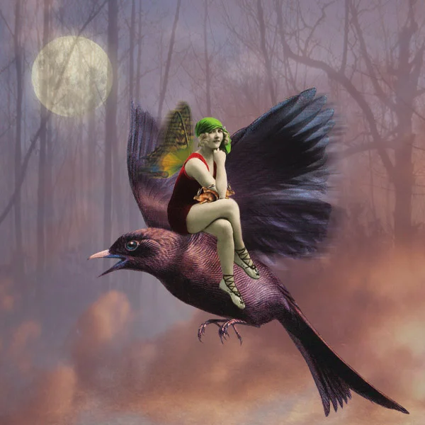 Flight