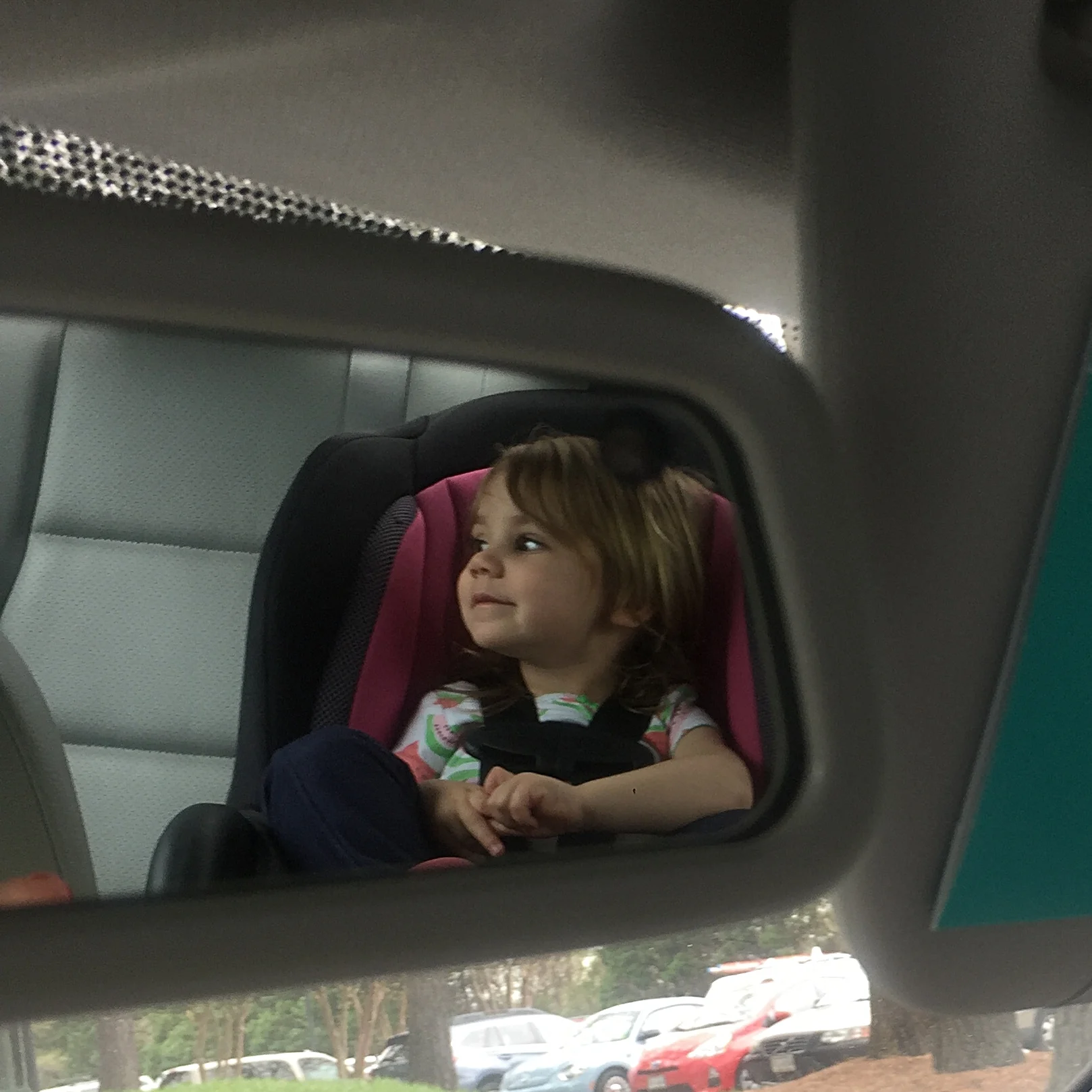 Travels With My Granddaughter