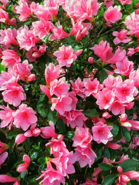 GO OUTSIDE — Kerry: