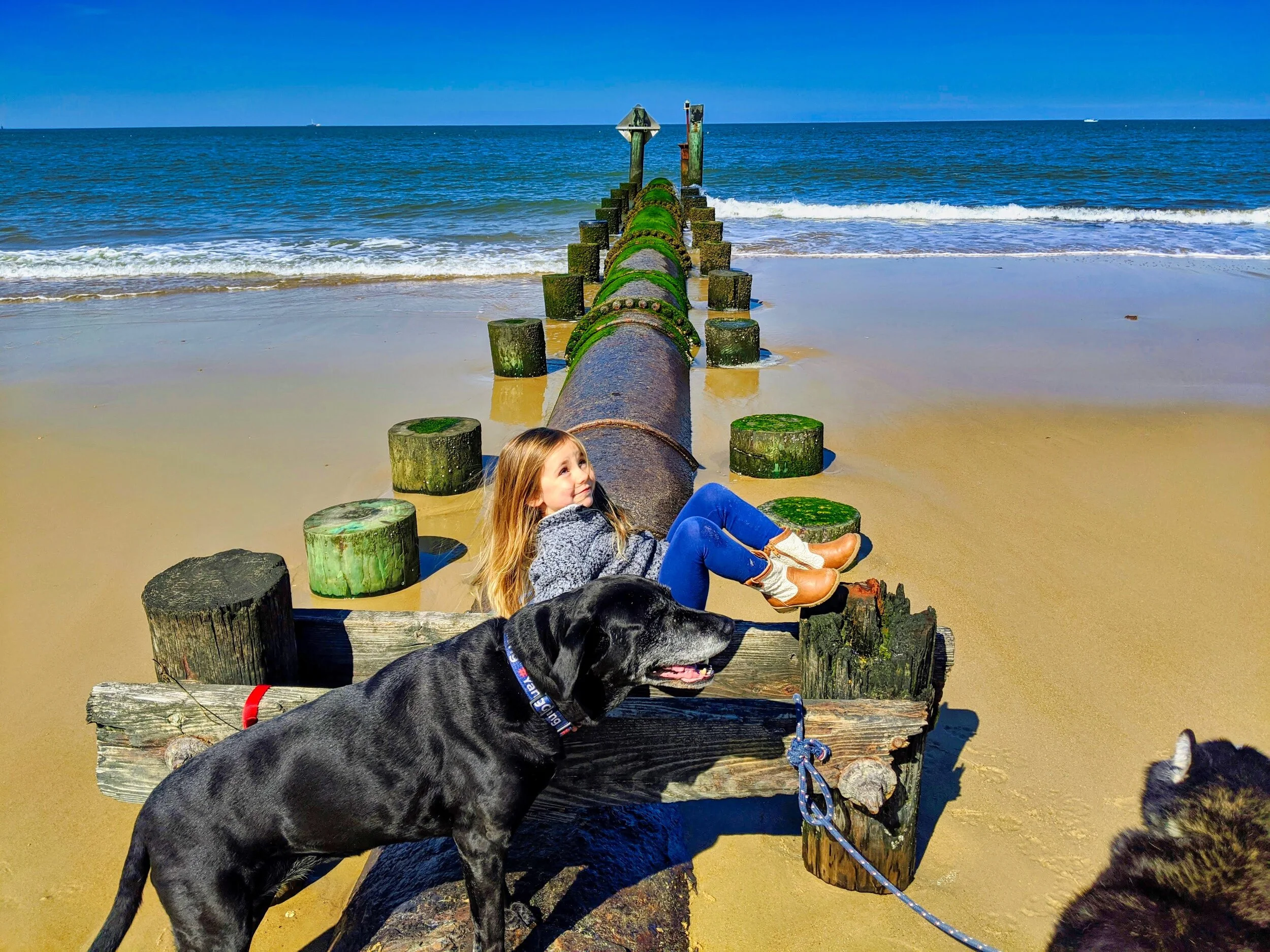 No More Sand Castles