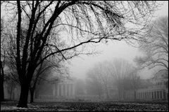 The Resistance Gathers: UVa Edition