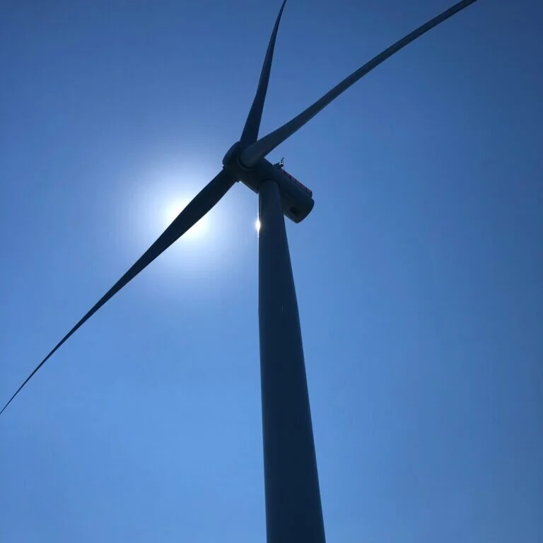 Wind Power Is Beautiful But Expensive