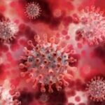 Herd Immunity Versus Herd Insanity