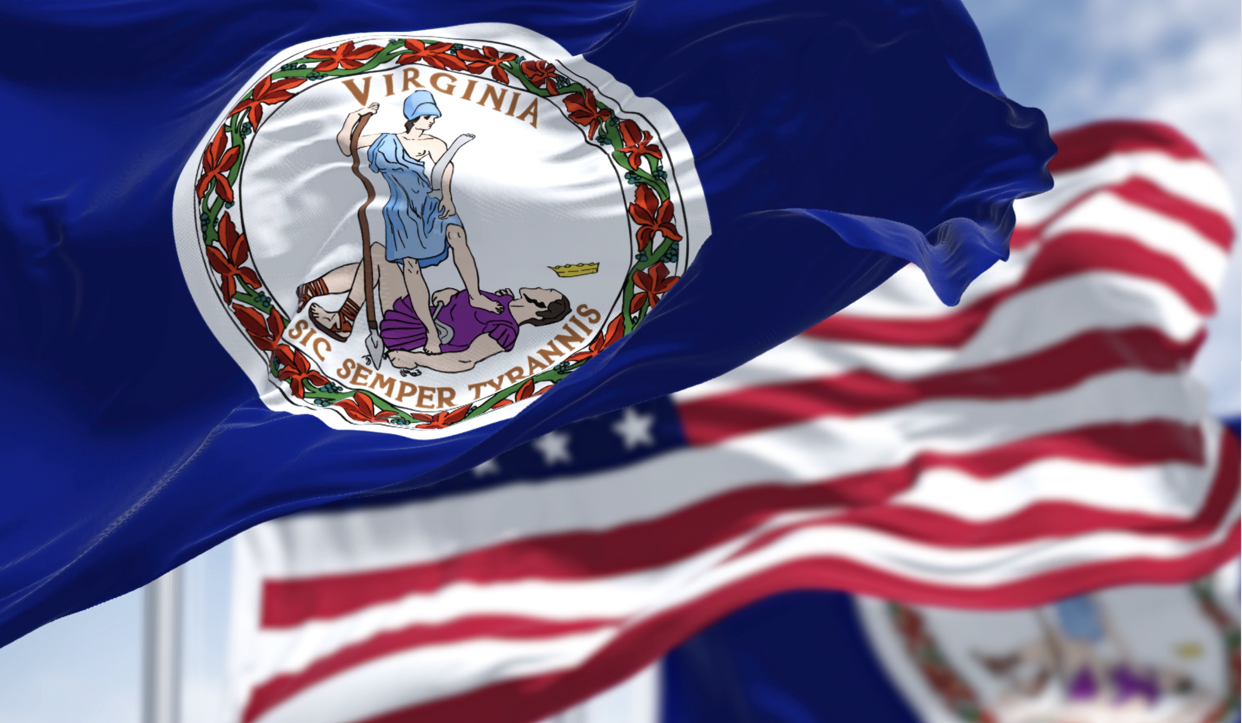 No Queens: Stop Tyranny in Virginia