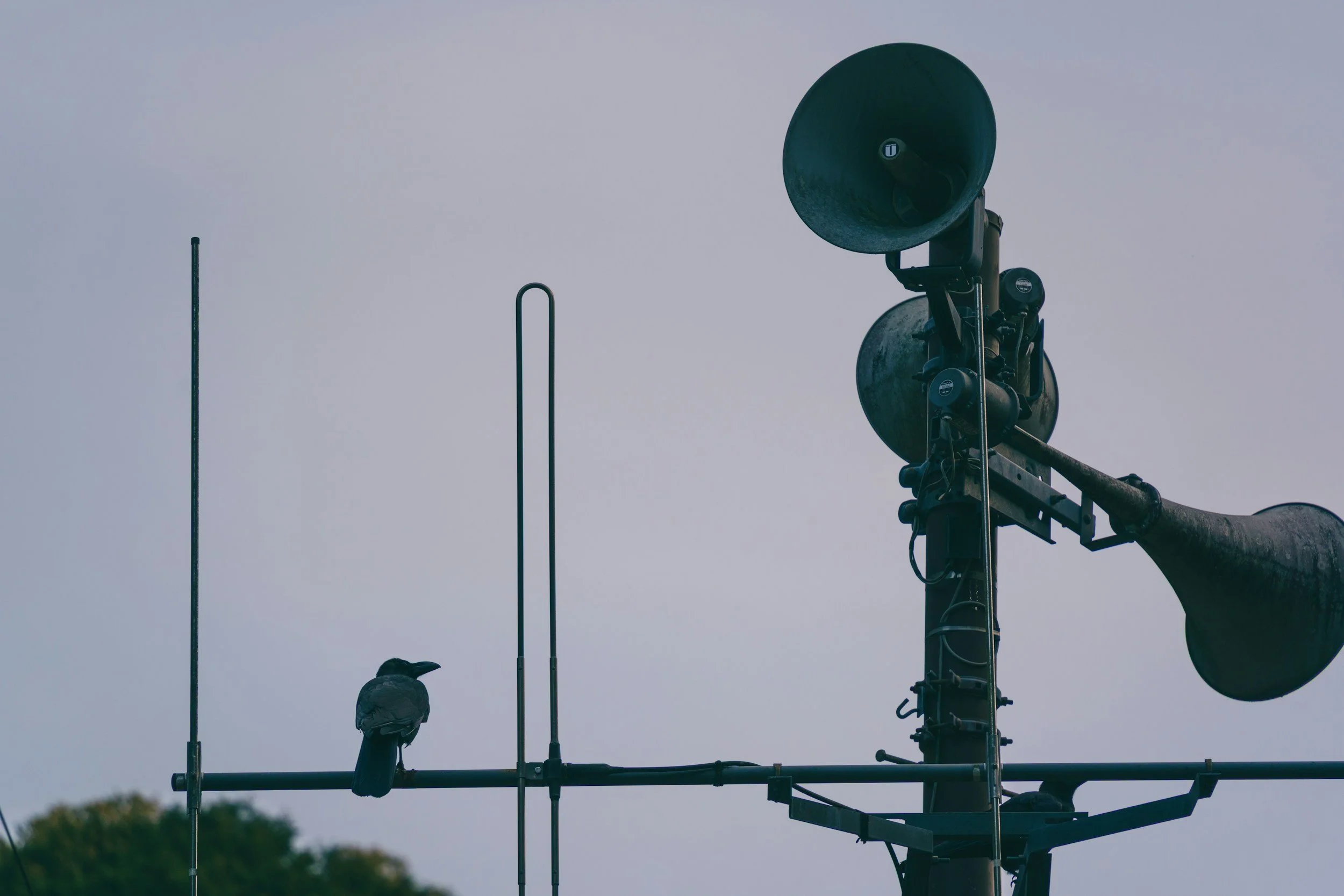 Memo To City: Stop With The Late-Night Emergency Alerts