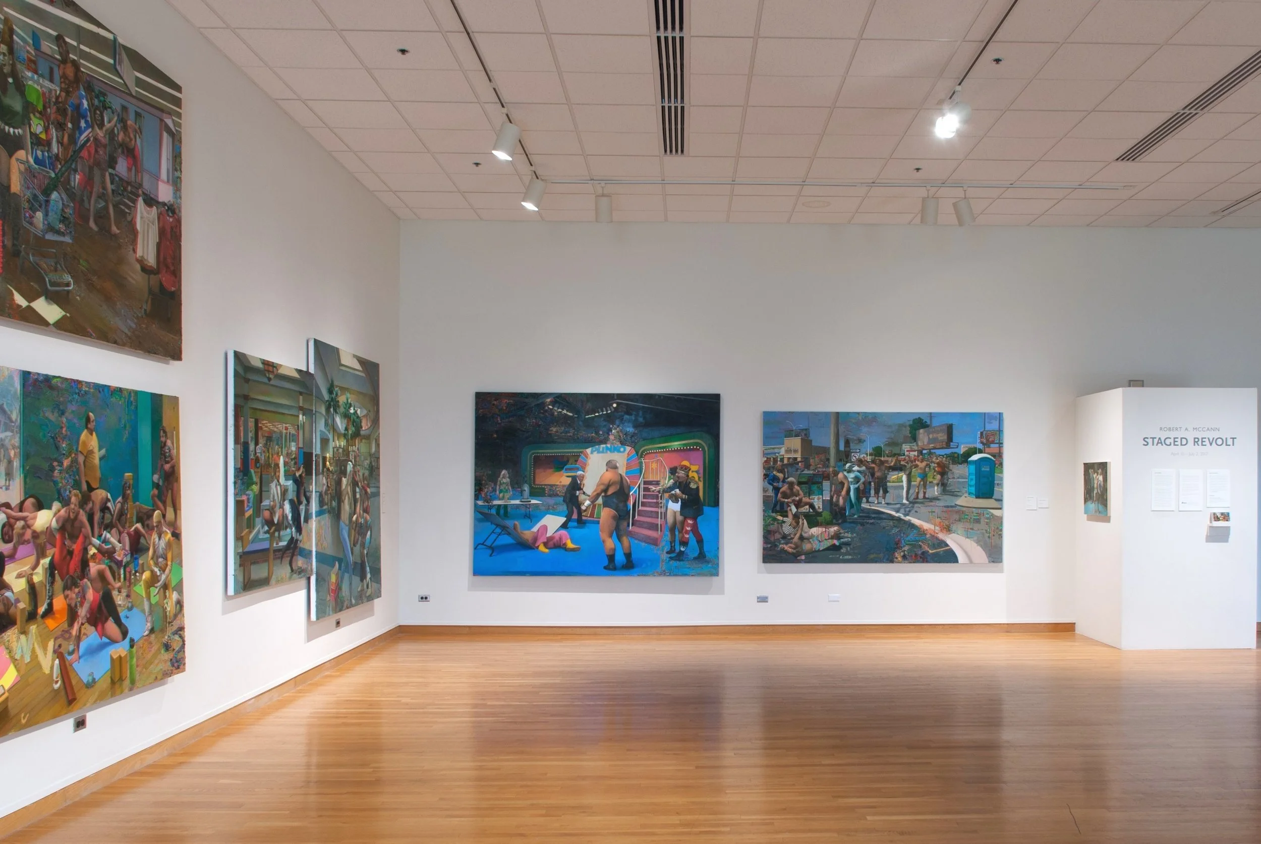 Installation view at South Bend Museum of Art, April 15-July 2, 2017