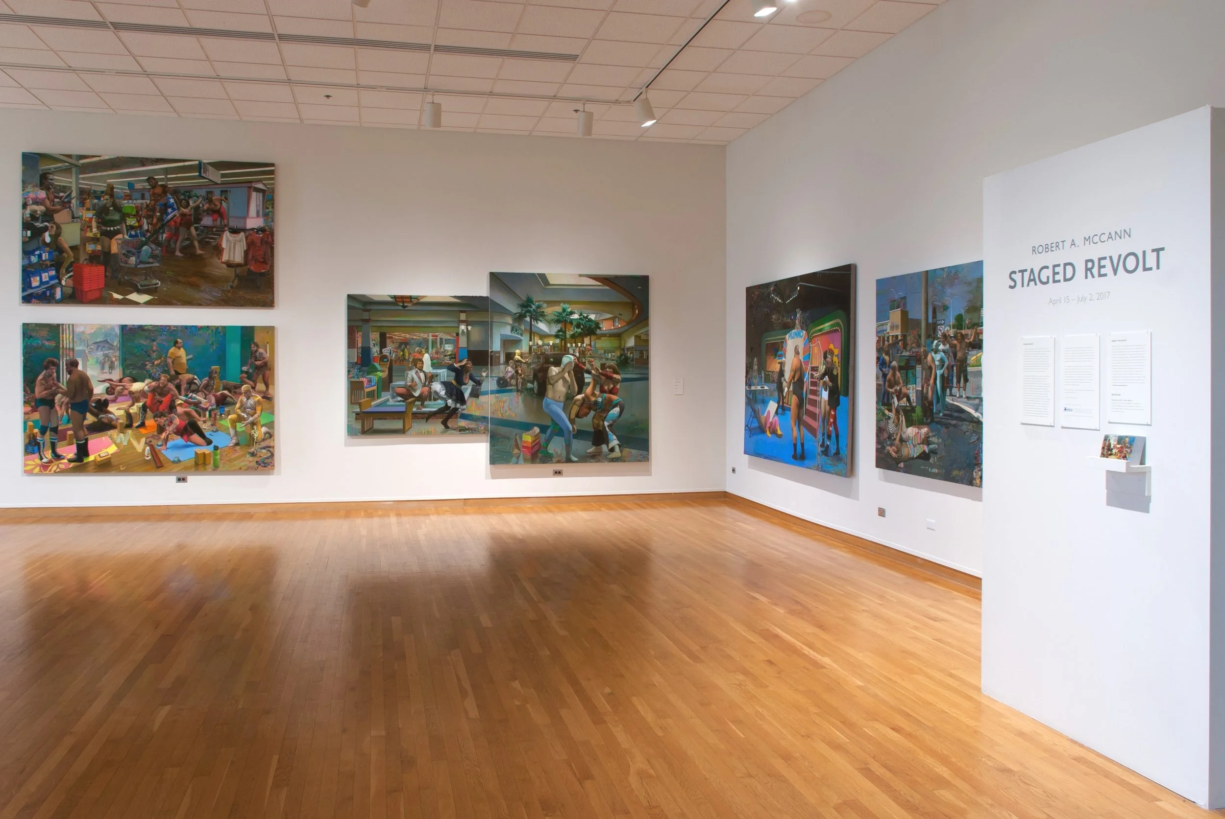 Installation view at South Bend Museum of Art, April 15-July 2, 2017