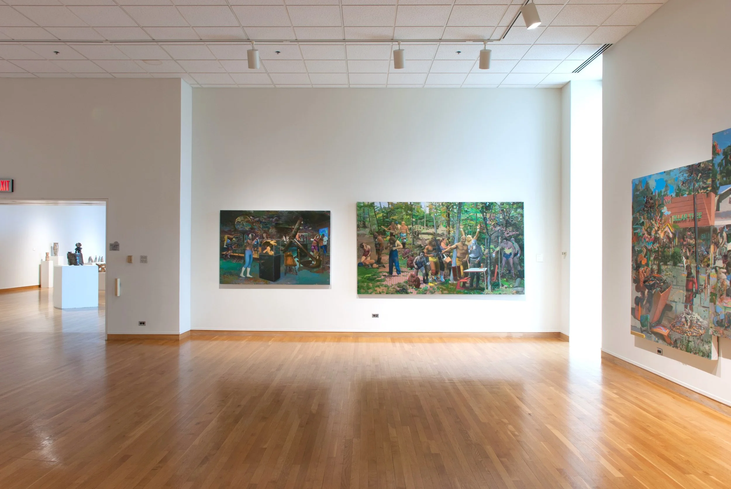 Installation view at South Bend Museum of Art, April 15-July 2, 2017