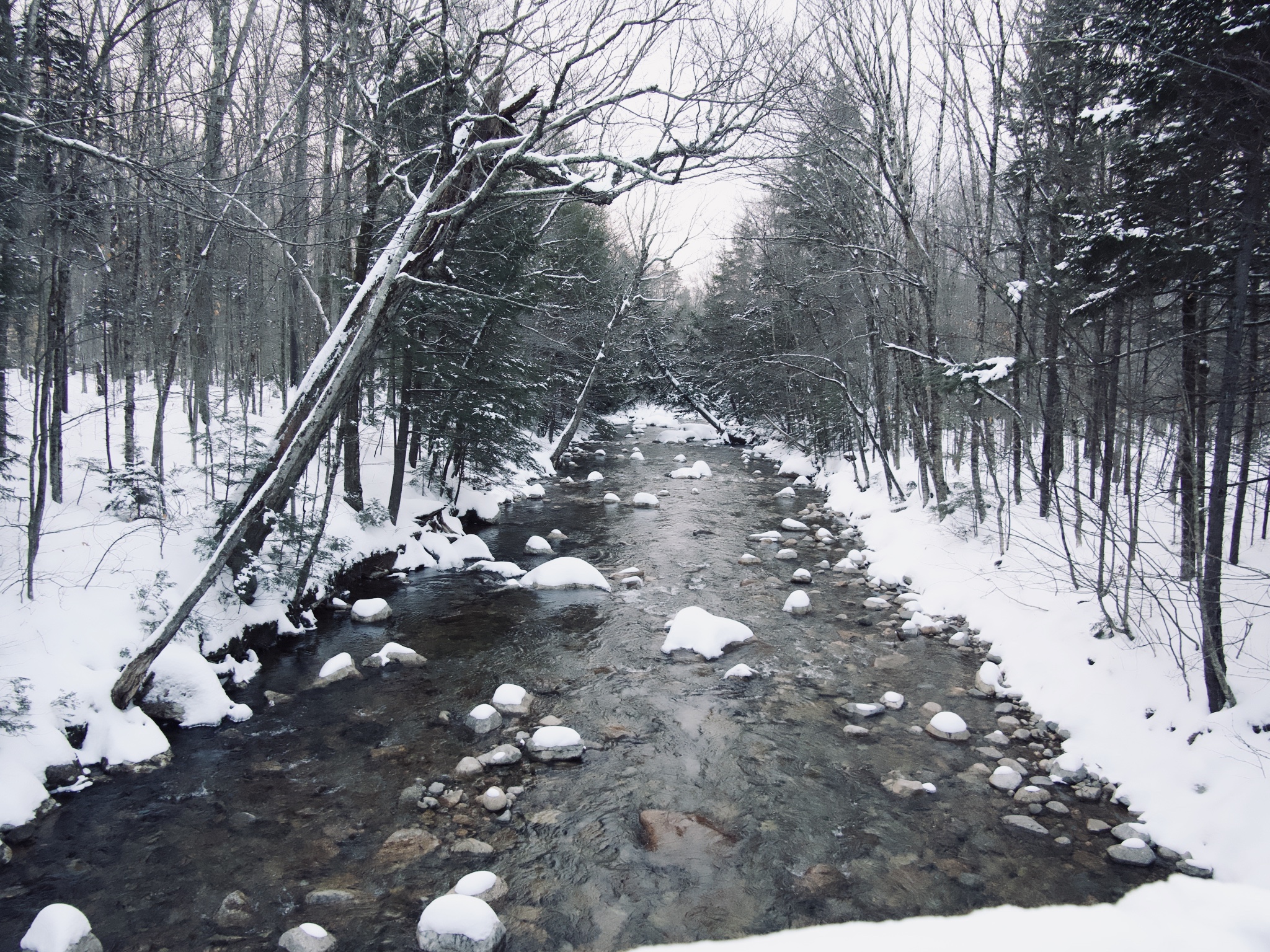 Winter Creek.jpeg
