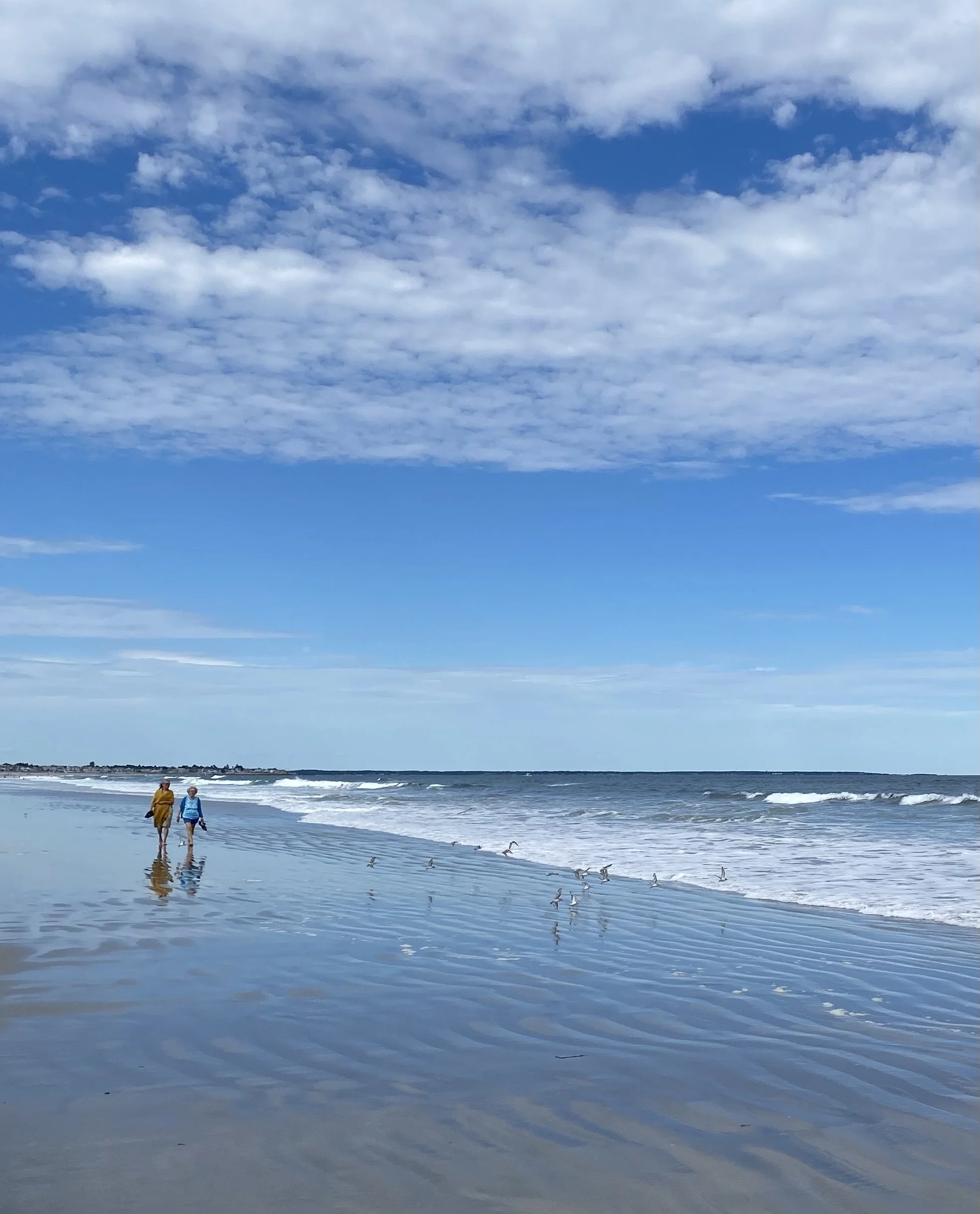 PERKINS COVE BOOKSHOP with William Dameron