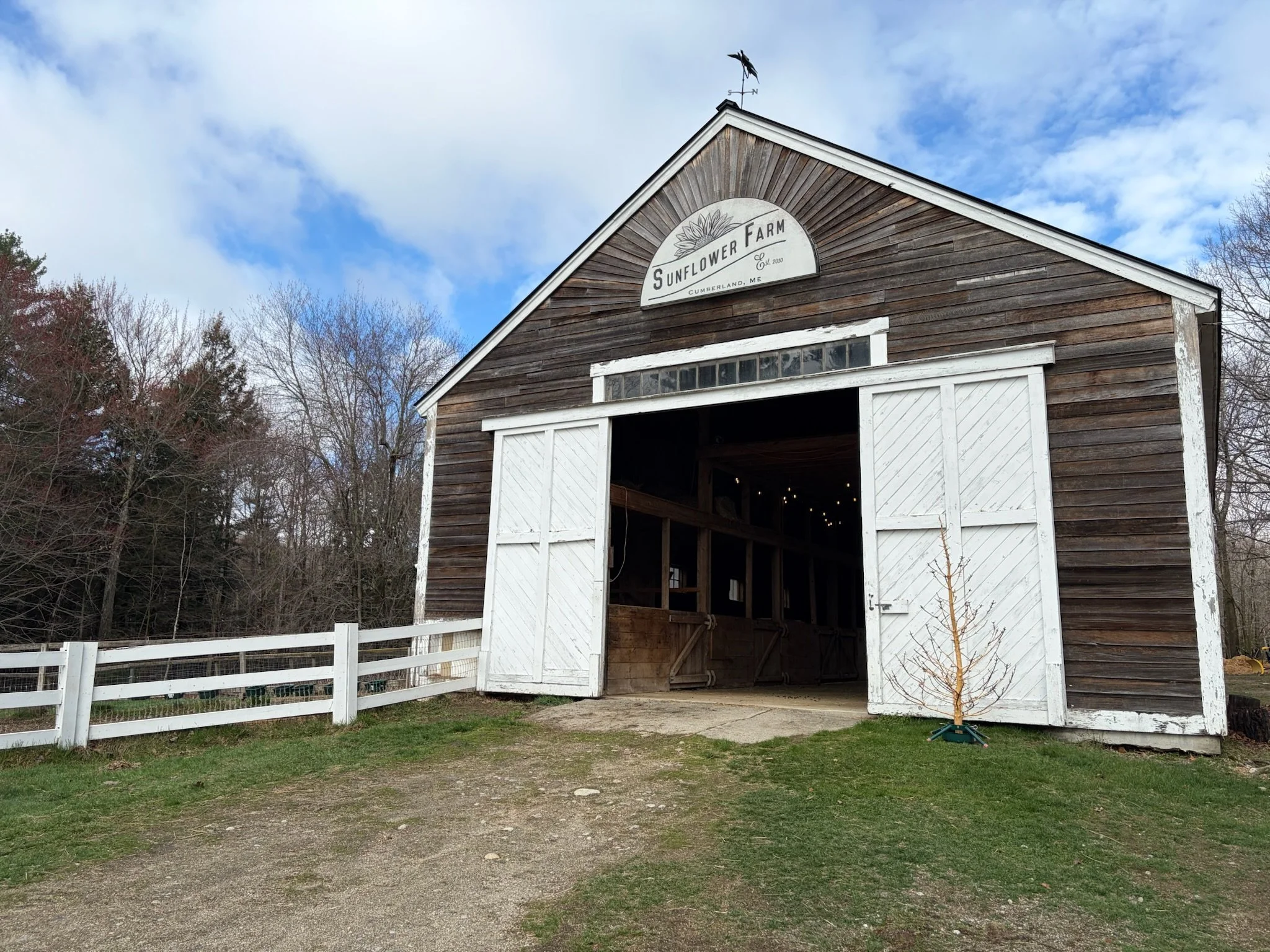 The G.O.A.T. Books and Goats Day of Wonder at SUNFLOWER FARM
