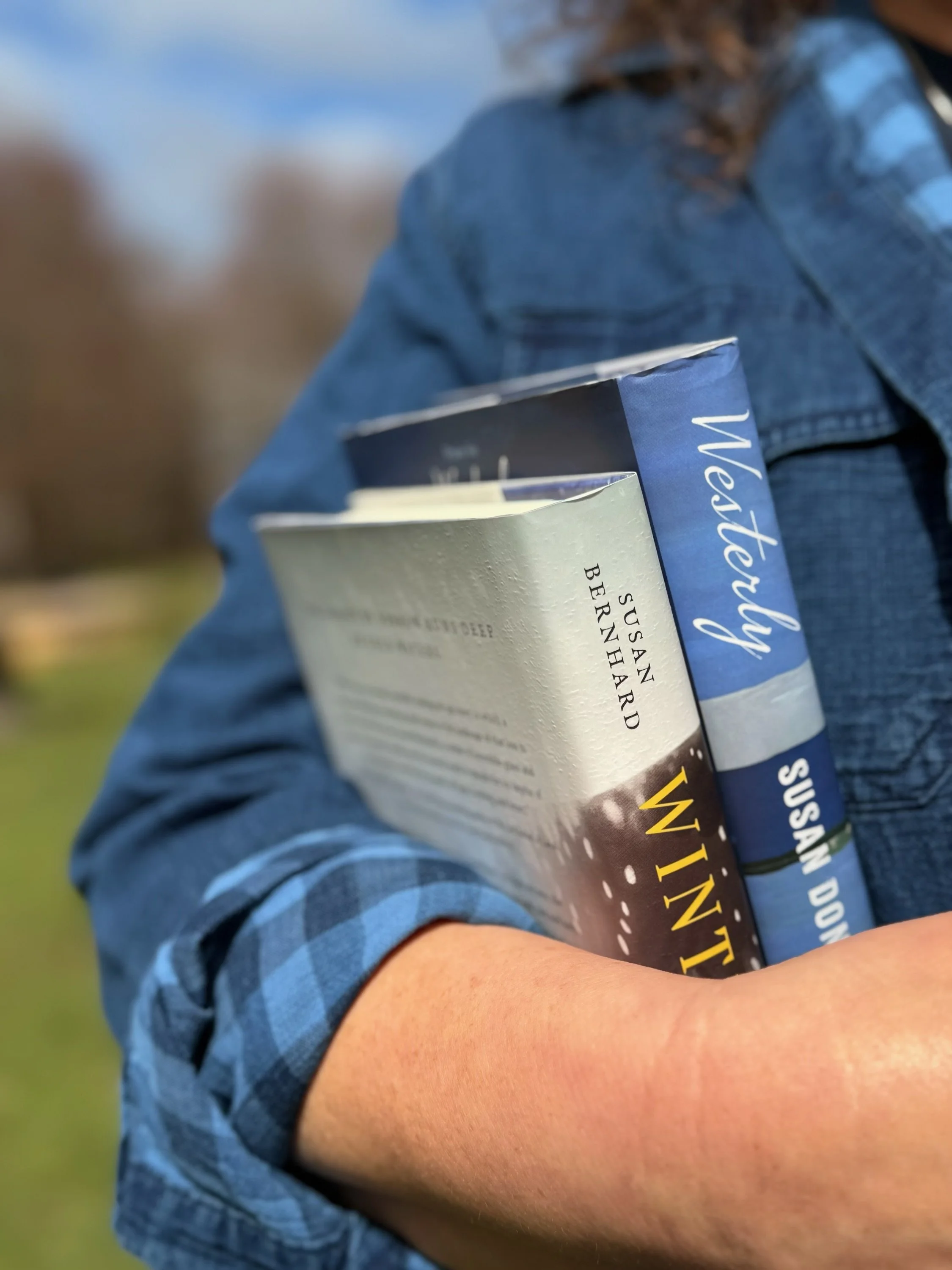 Spotlight Saturday  BUTTONWOOD BOOKS