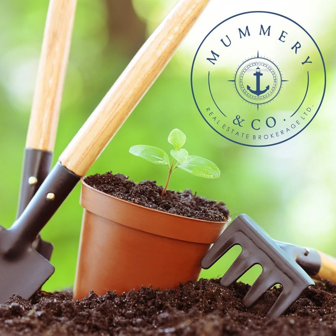Tell me! Are you planning a garden this spring?🌱 Tell us what you're planting! And also do you have any tips for beginners? 

I'm going to try tomatoes, beans and lettuce this year, along with an herb garden! 

If you're not sure how to get started,