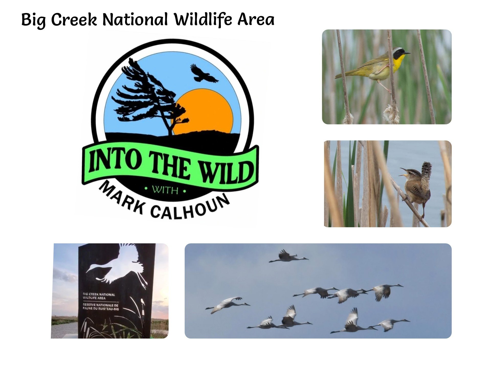 Long Point Birding Area