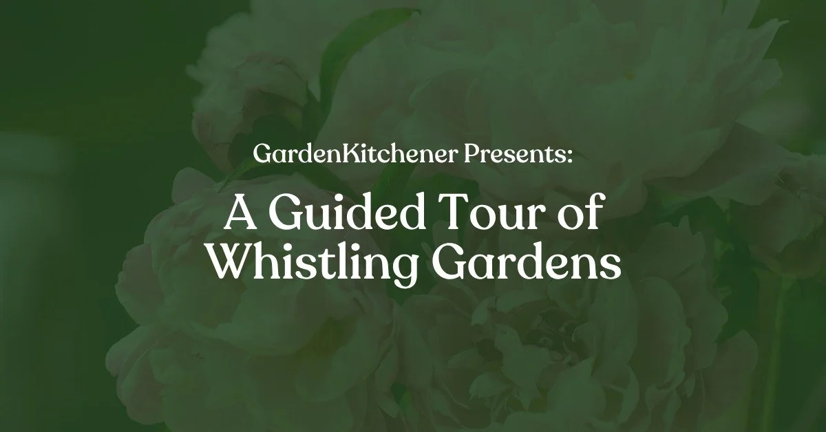Guided Tour of Whistling Gardens