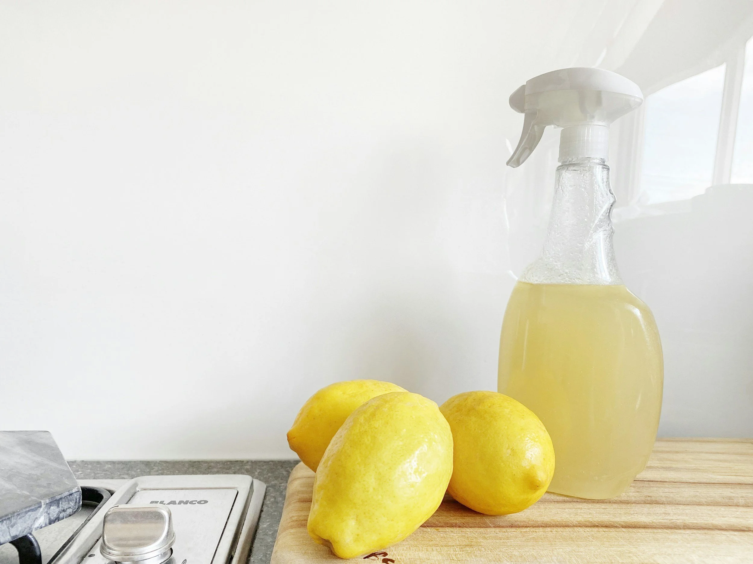 Adult Homesteading: Non Toxic Cleaning Products Workshop