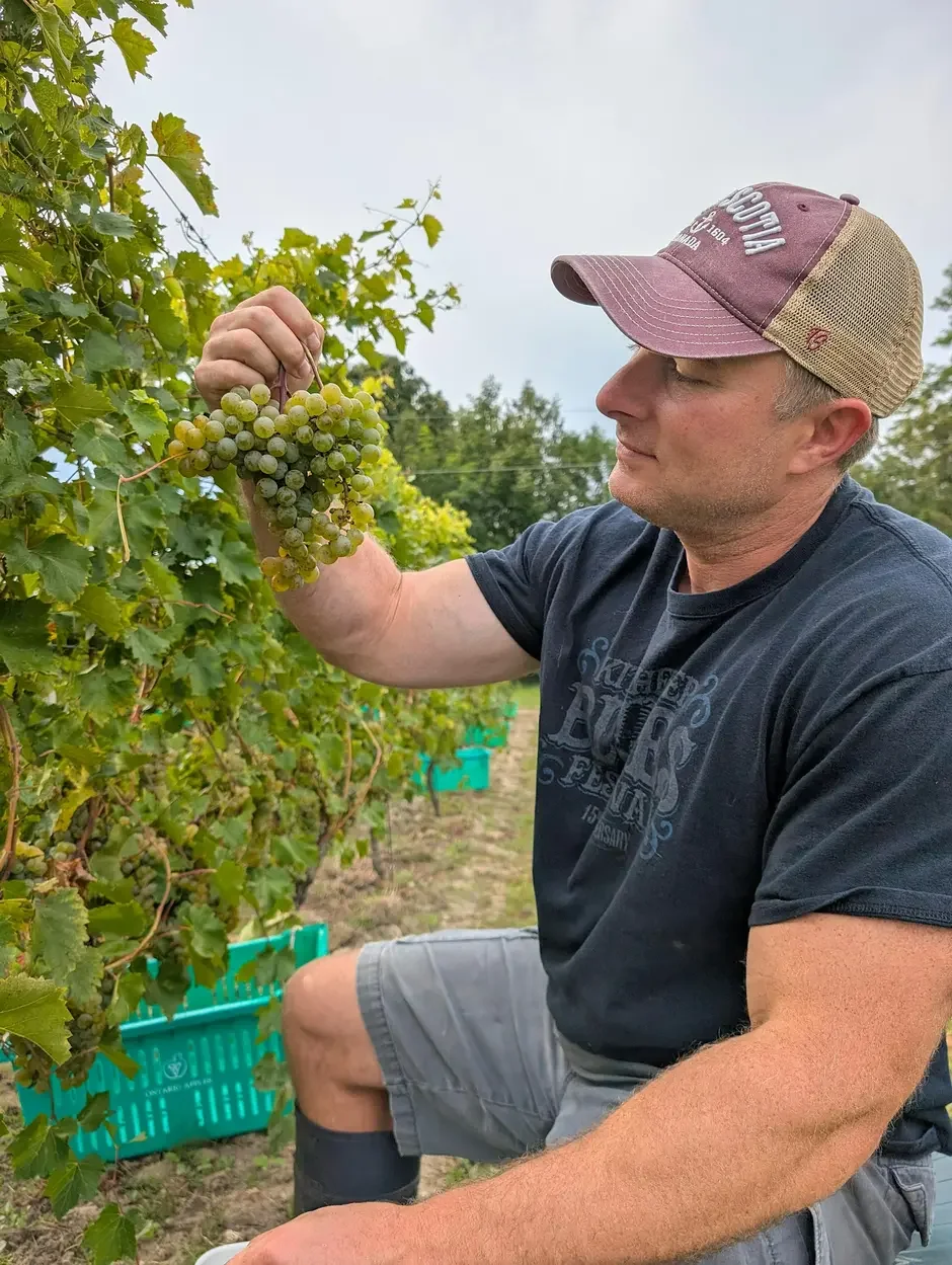 Harvest Party #3 at Hounds of Erie Winery