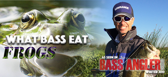 What Bass Eat - Frogs — Bixxel Media
