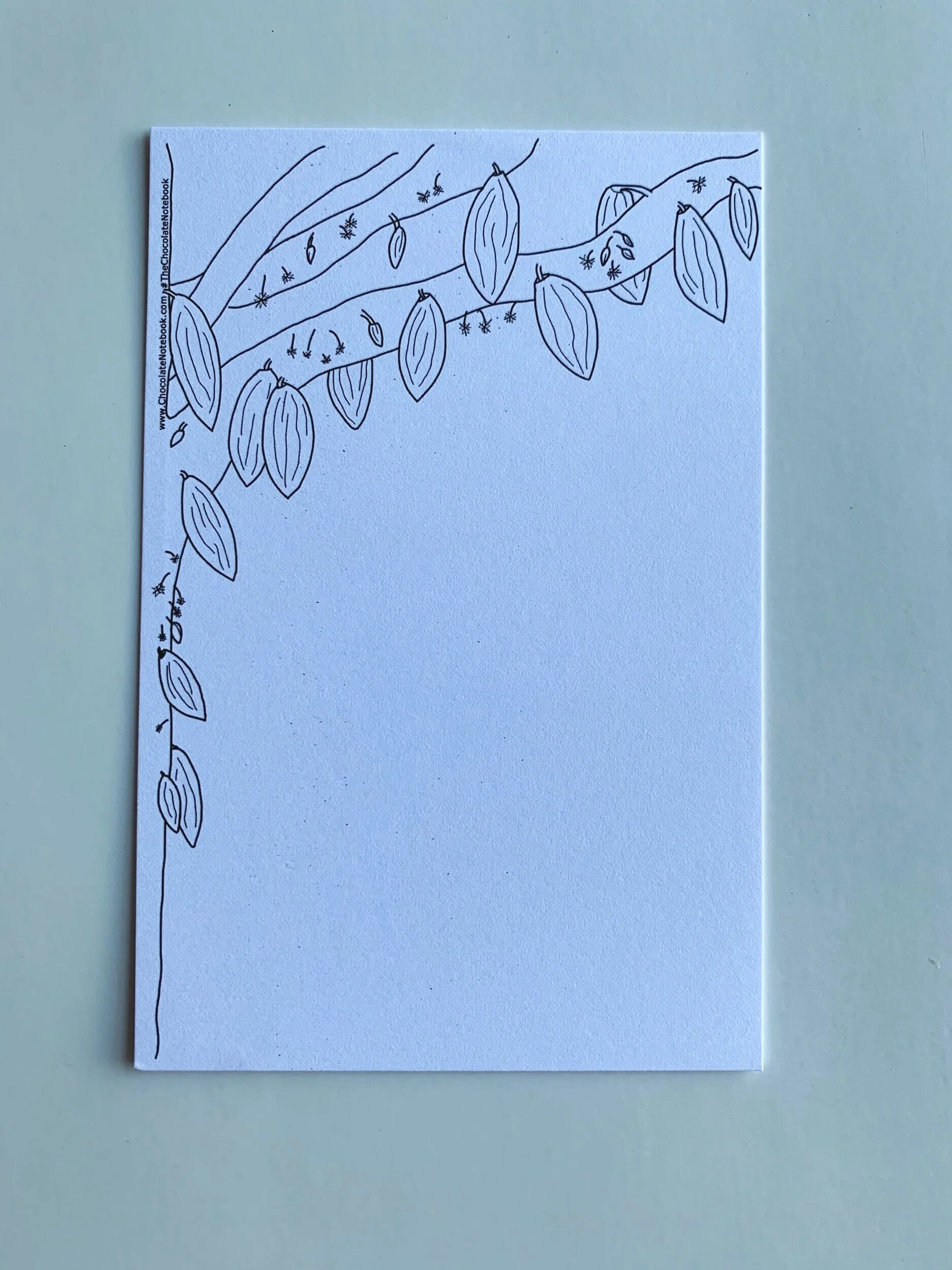 1595D857-3880-4432-836F-E1FD35D0E6A4