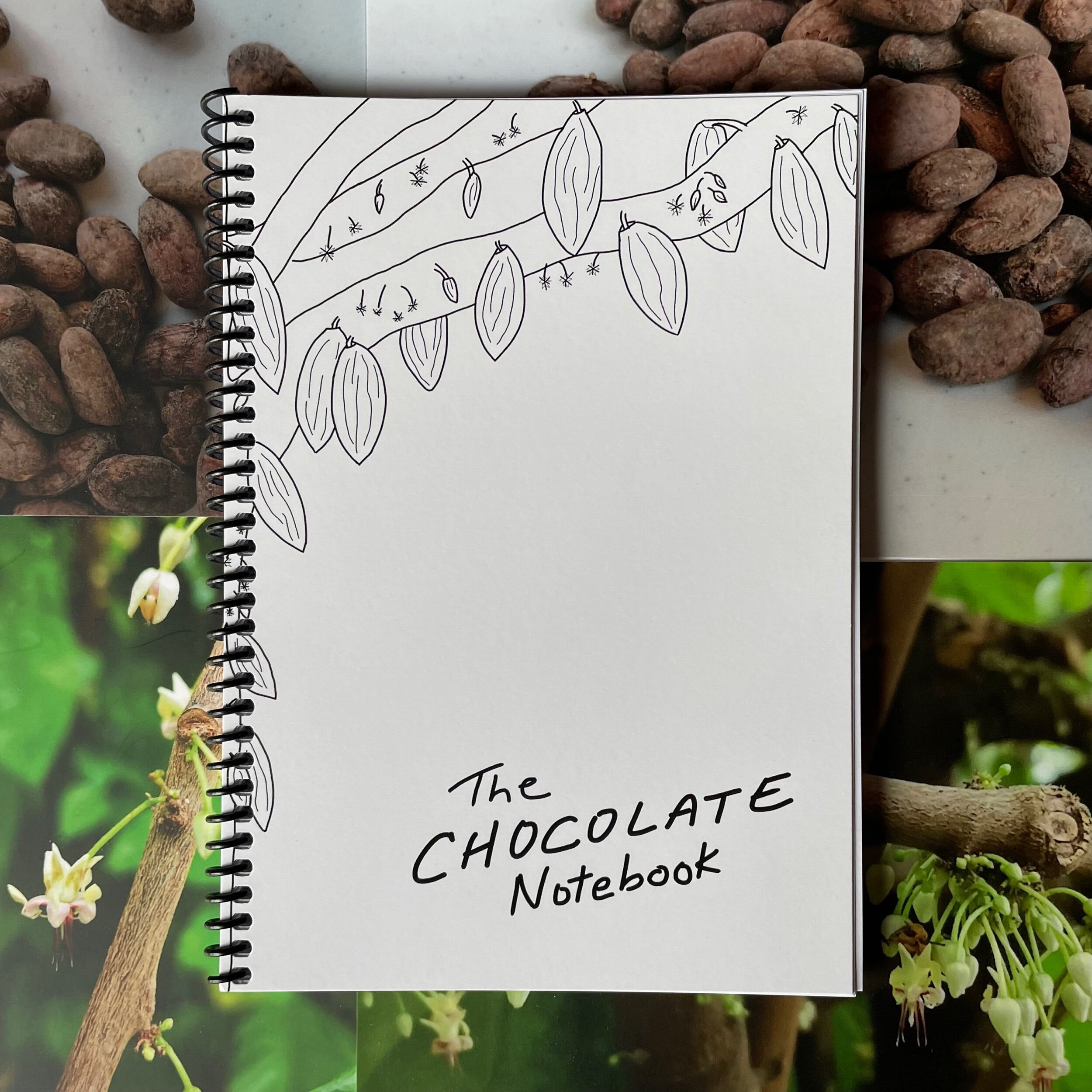 61EE405B-37AF-43AF-A509-C039EEA340FF