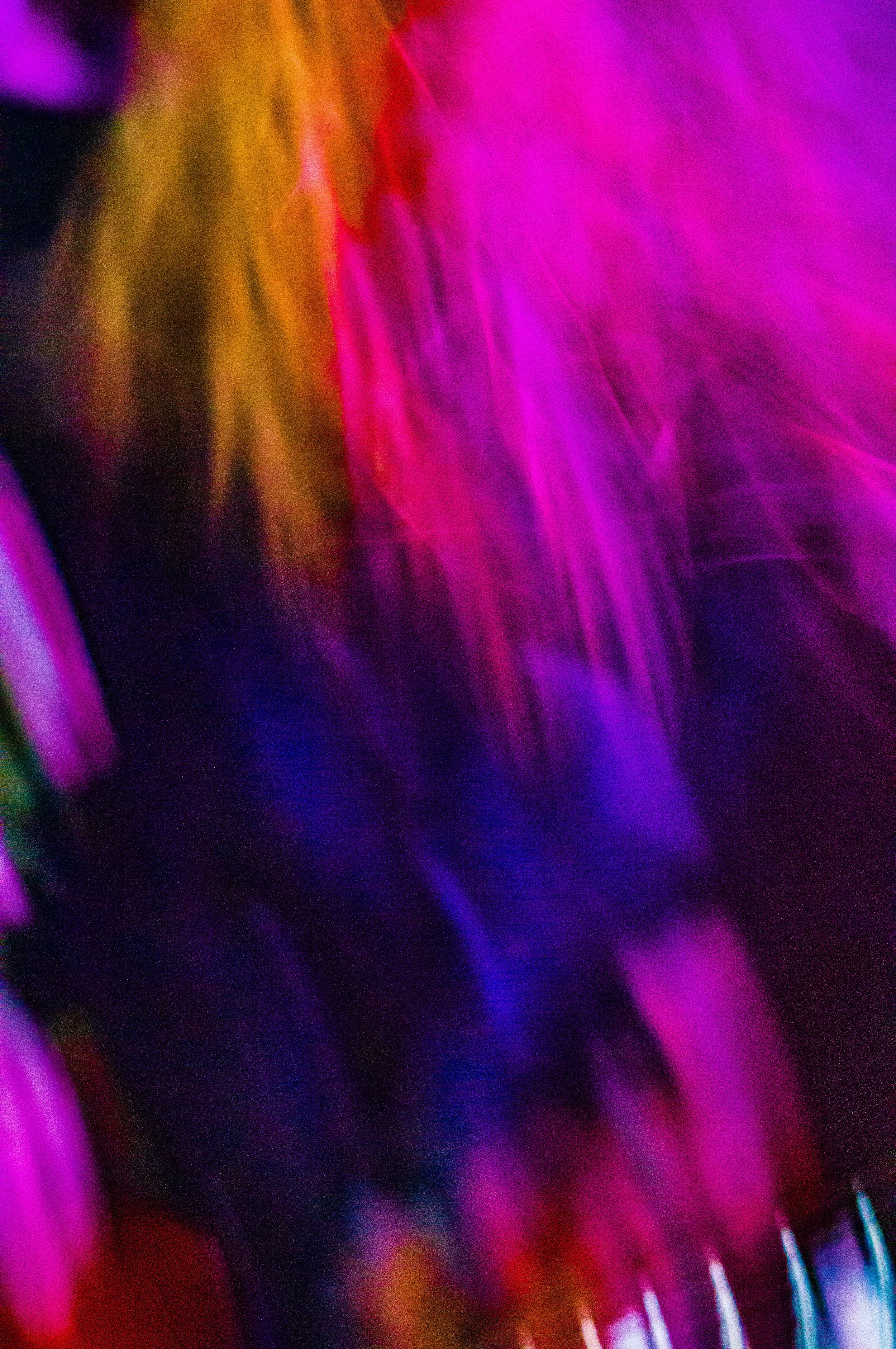 DSC03828.jpg