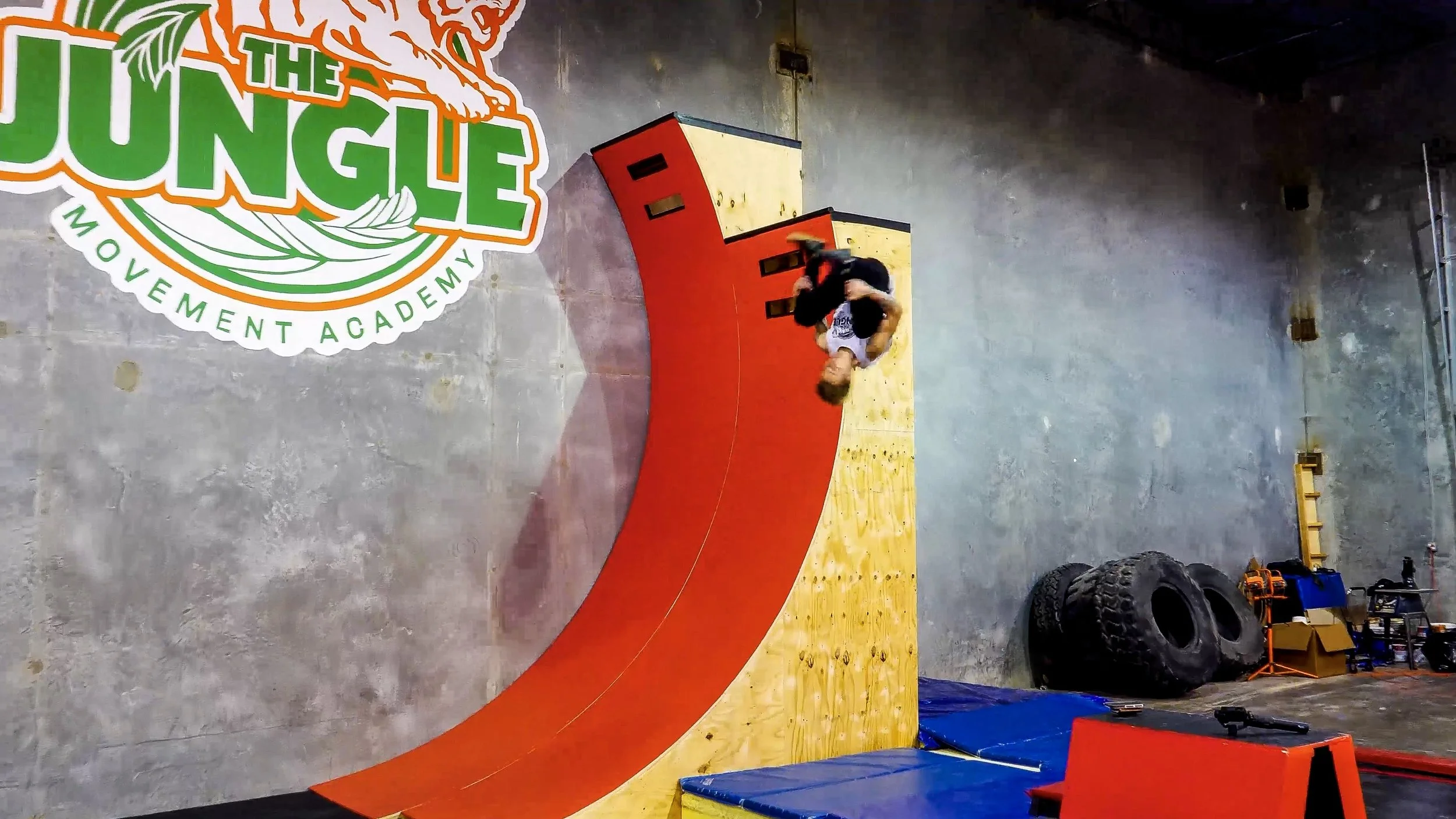 Happy New Year from Jungle!