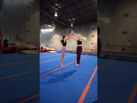 The Ultimate Movement Playground | The Jungle Academy