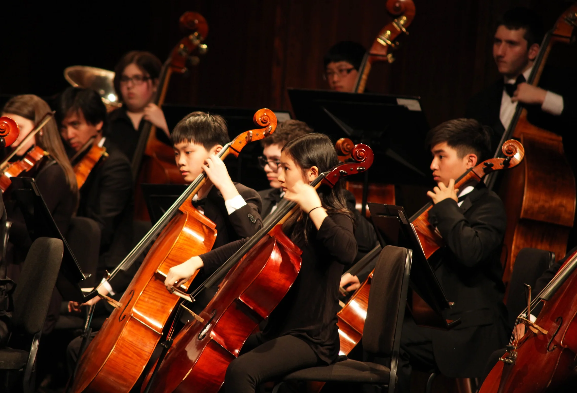 small cellists.jpg