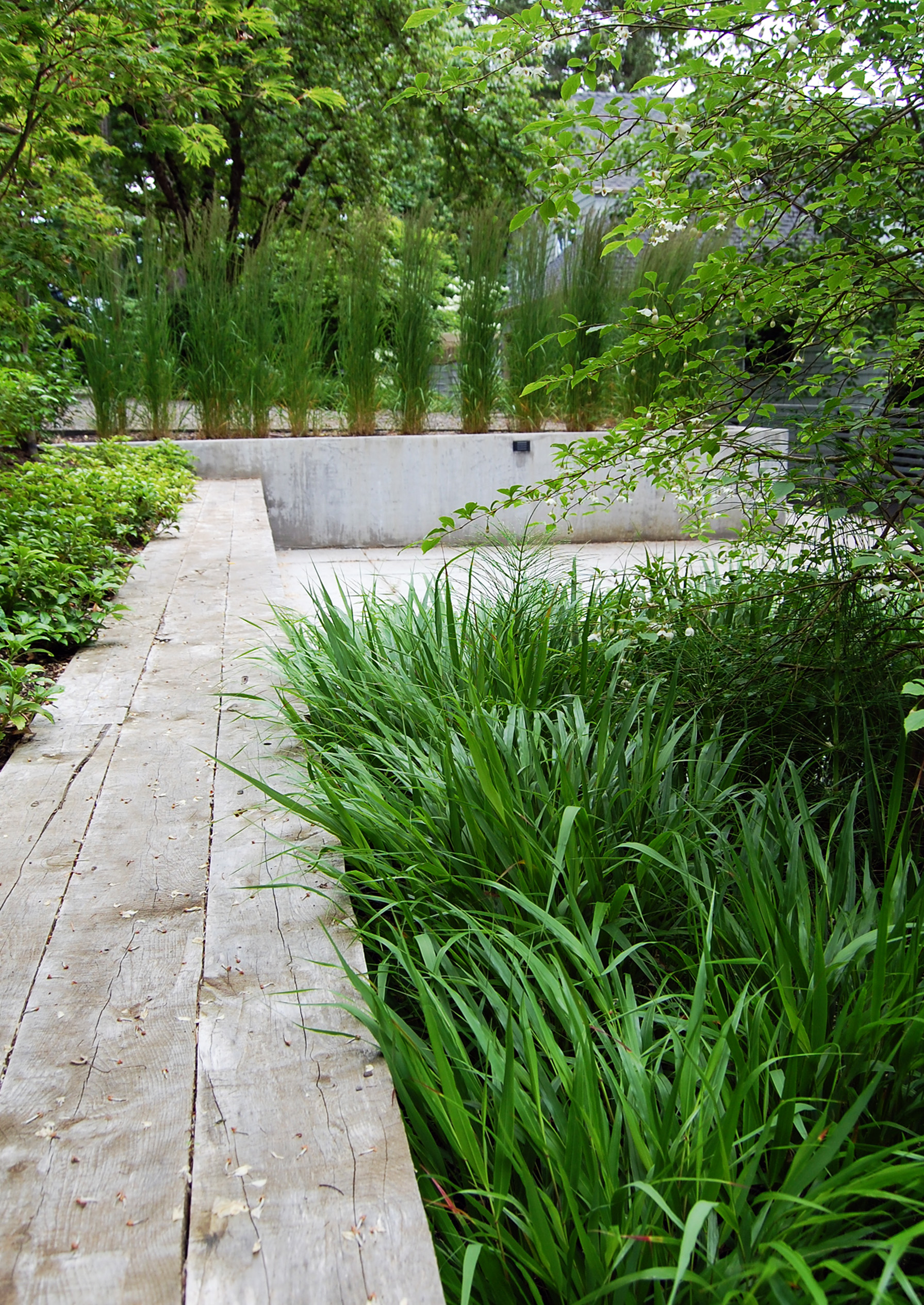 Image6.jpg