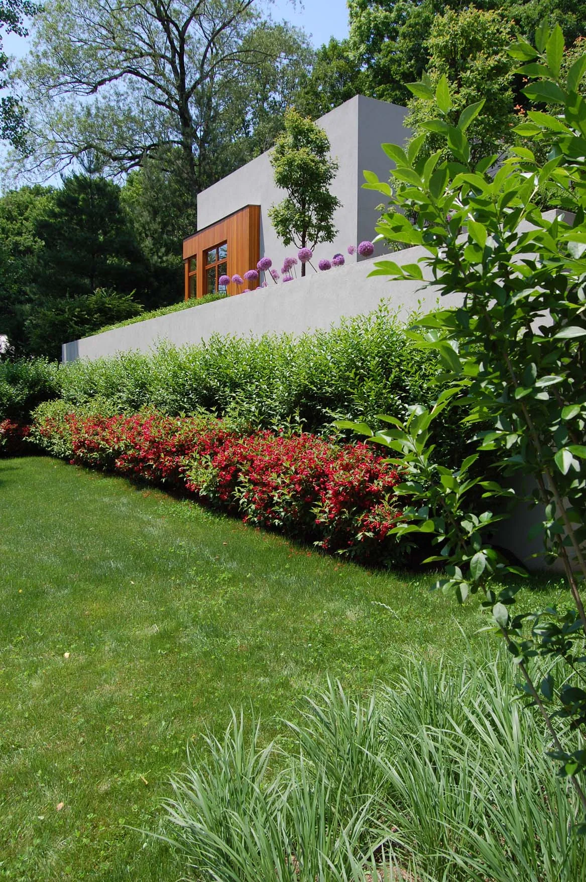 0-Red shrubs.jpg