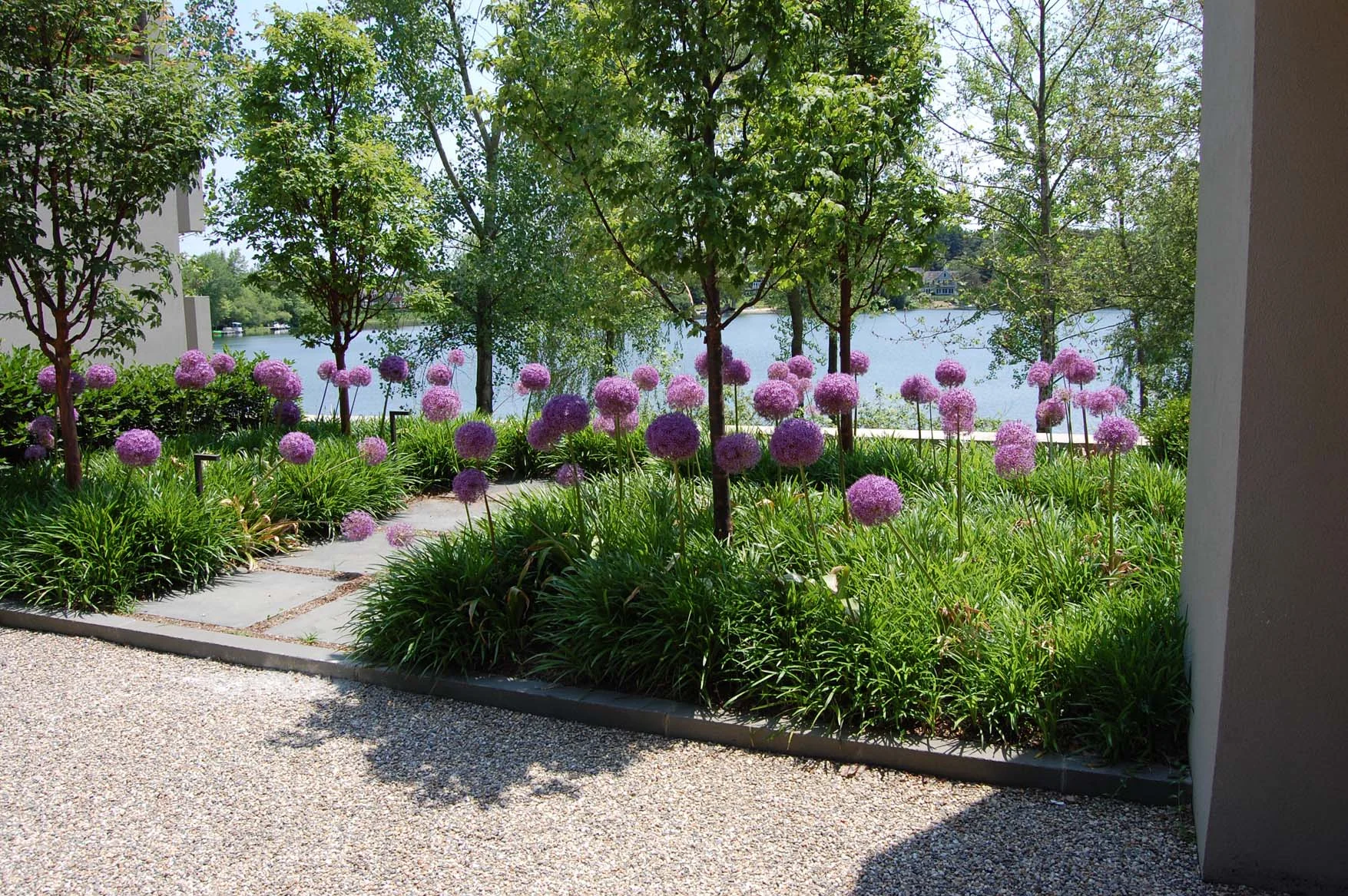 0-alliums.jpg