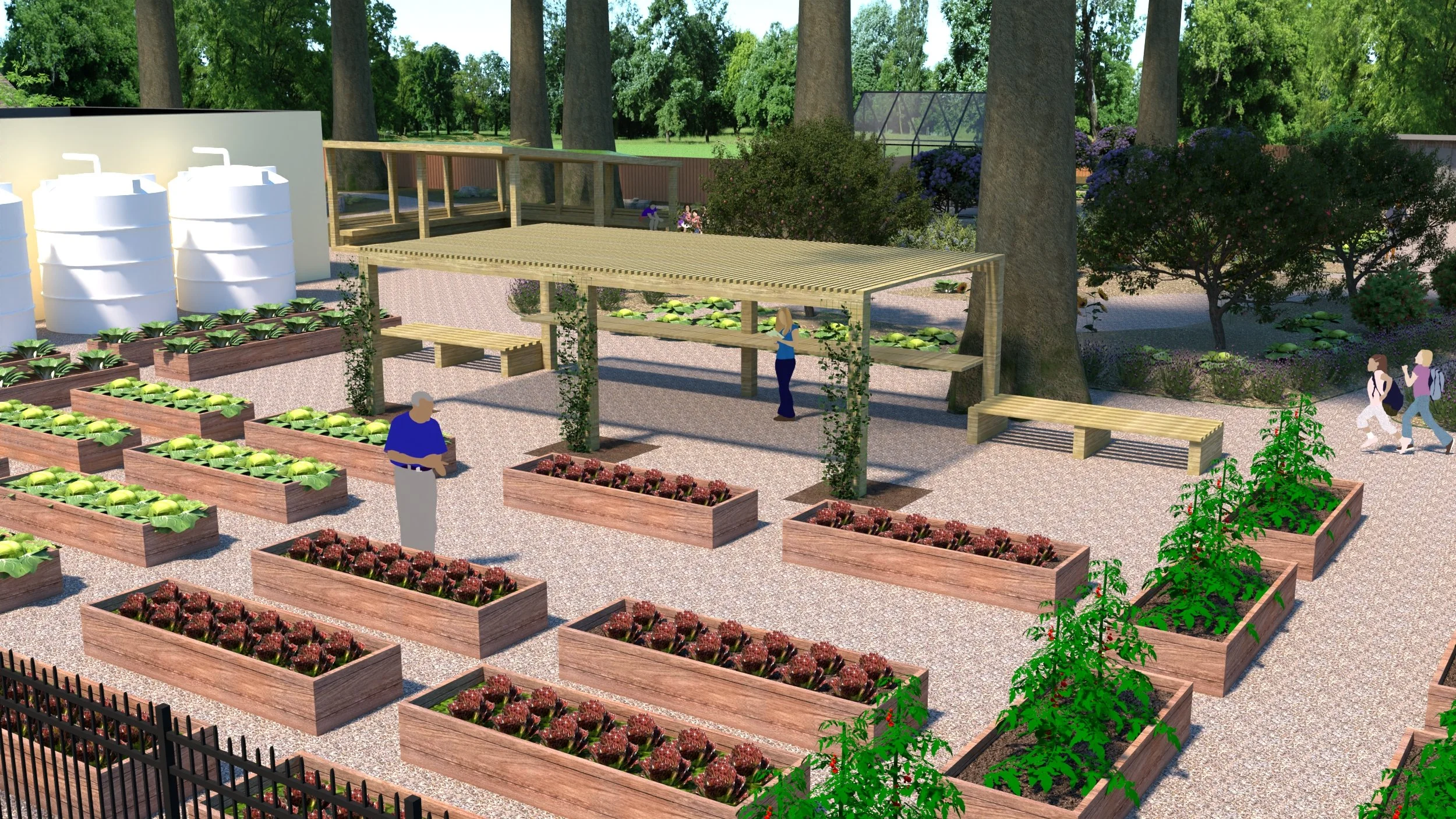 Raised Beds.jpg