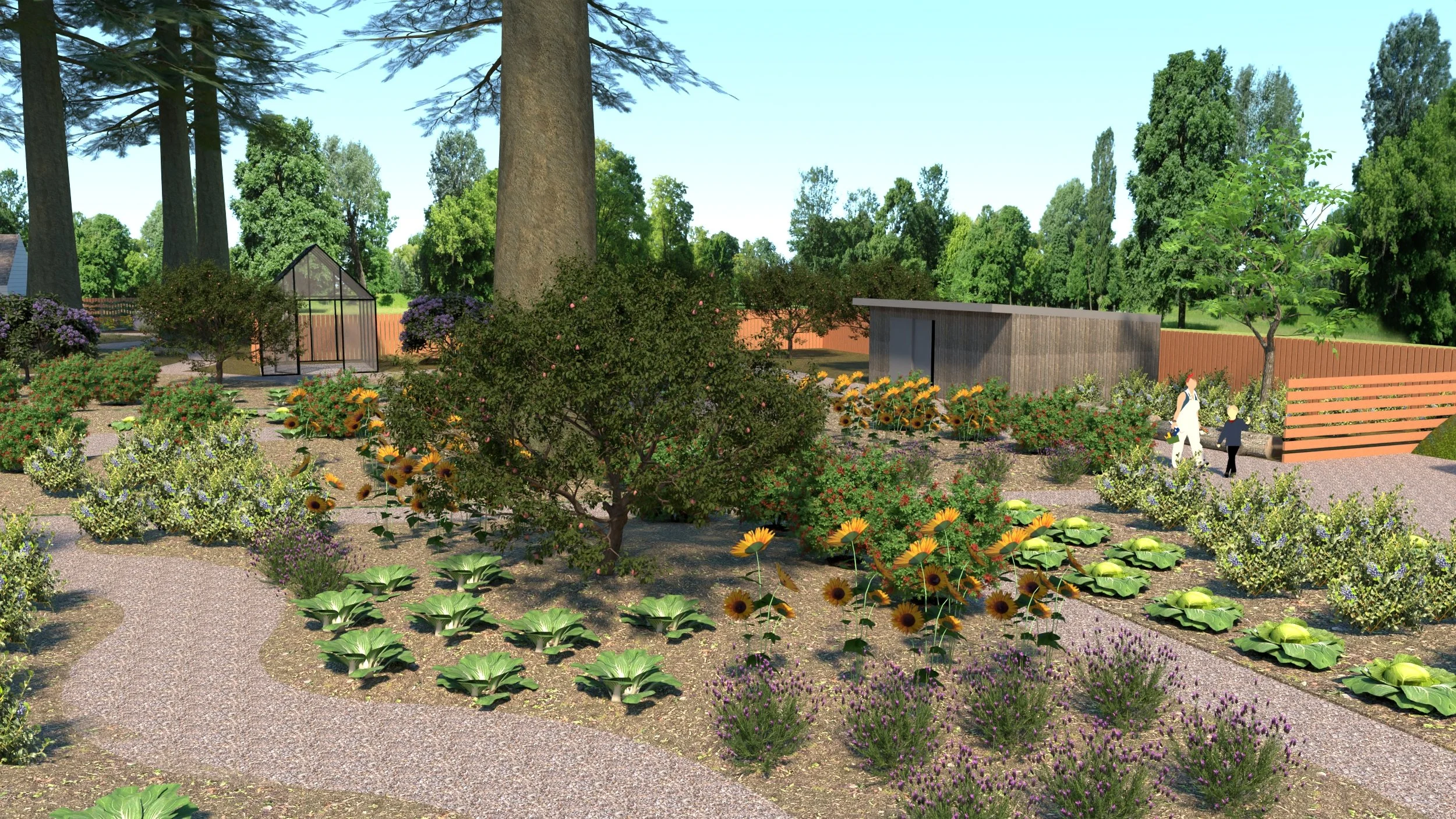 Shed and Greenhouse.jpg