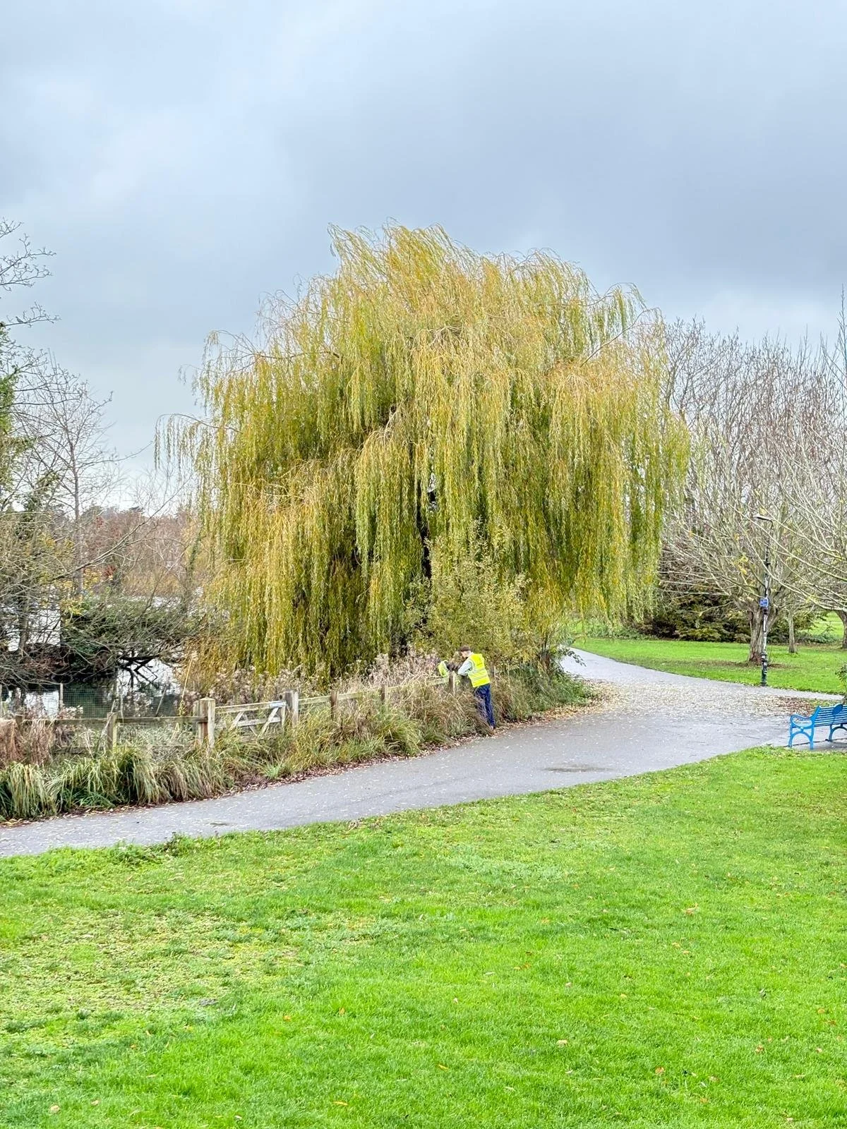 WhatsApp Image 2025-12-01 at 10.07.22.jpeg