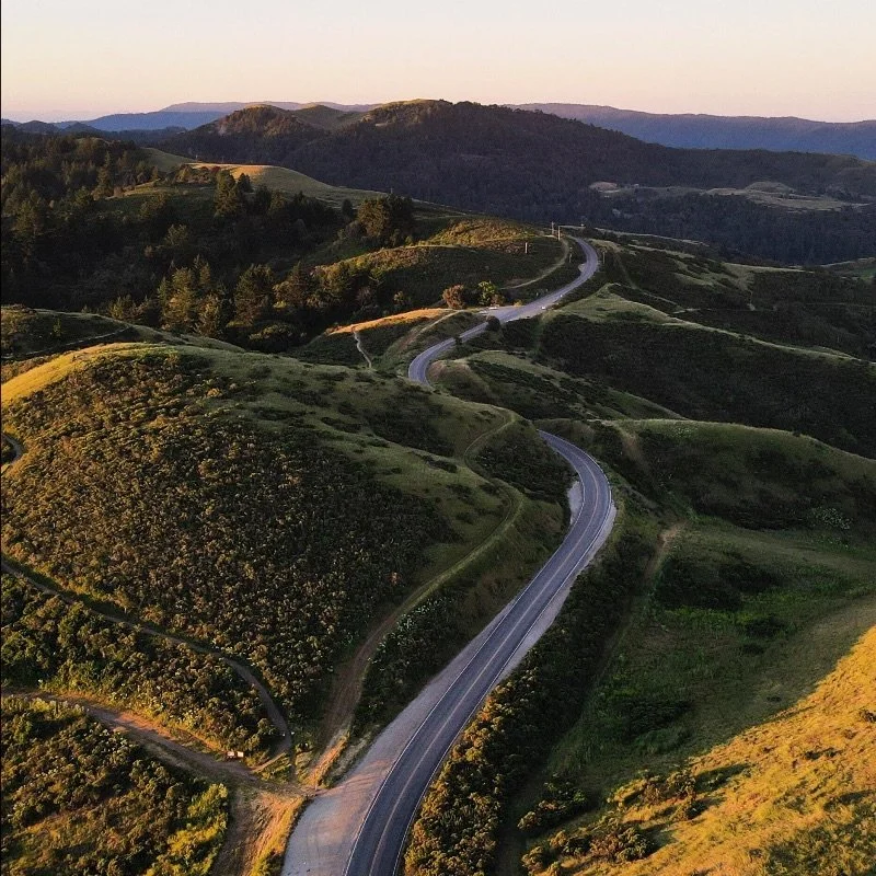 Have You Ever Felt This Way?