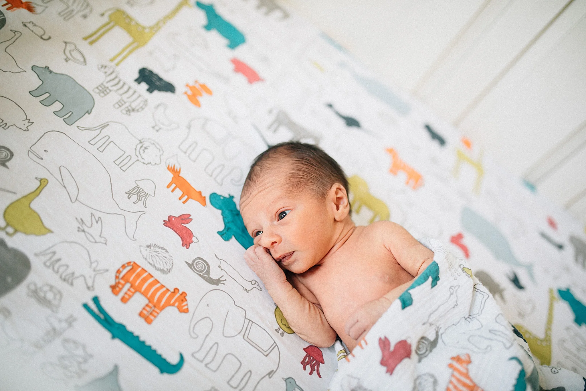 lifestyle newborn photographer atlanta-9.jpg