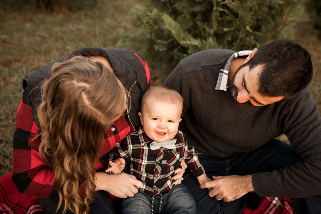 christmas tree farm-4-2.jpg