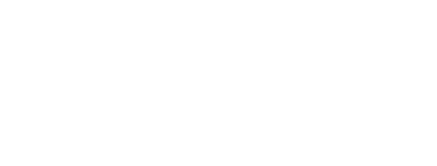 Austere Capital