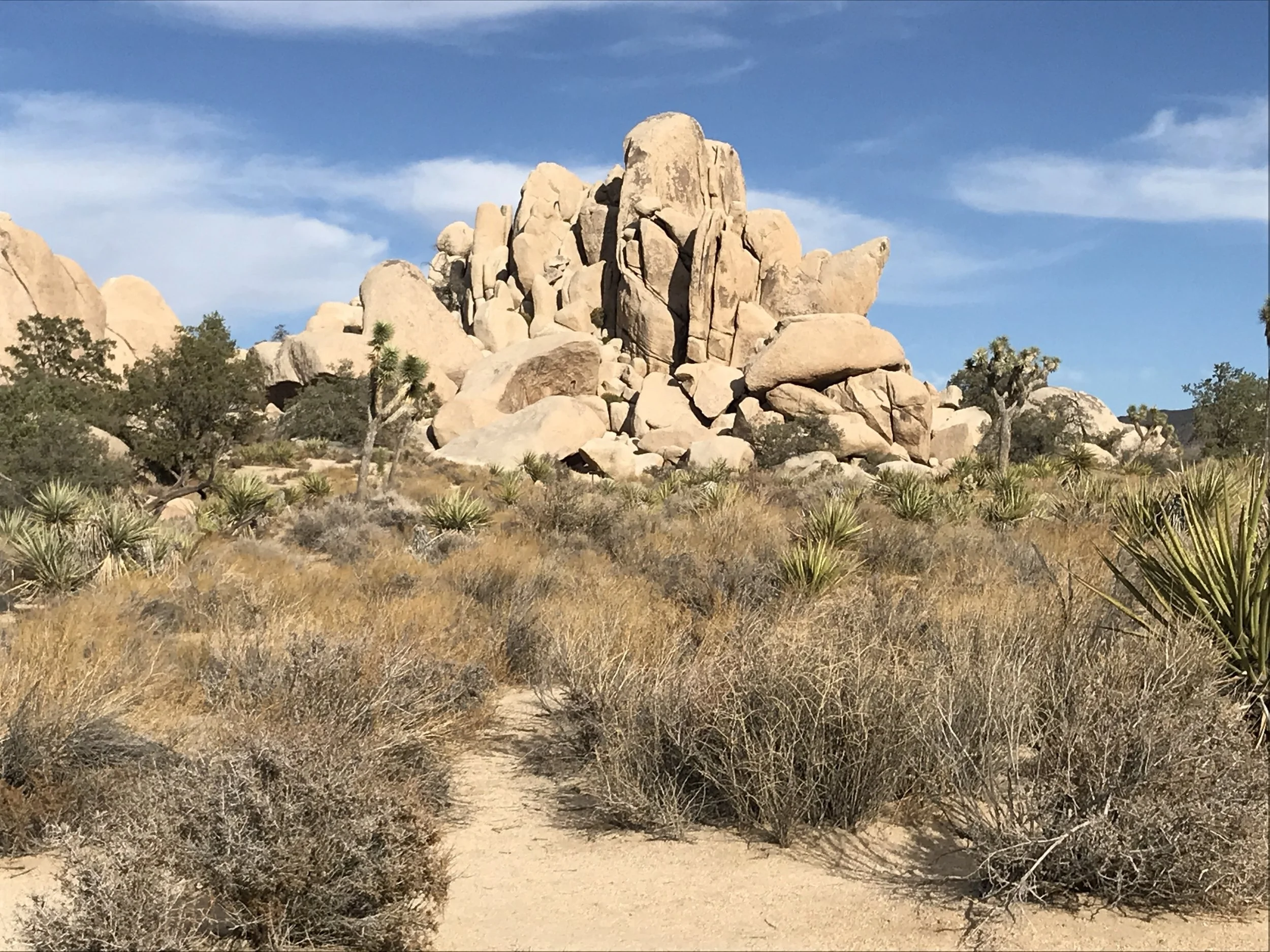 Desert Times