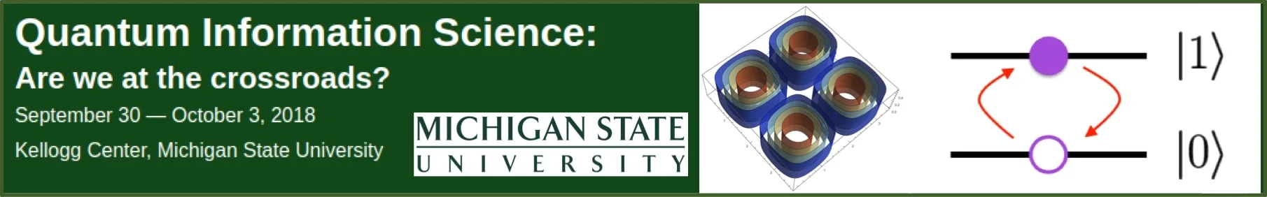 MSU QIS workshop logo v2.jpg