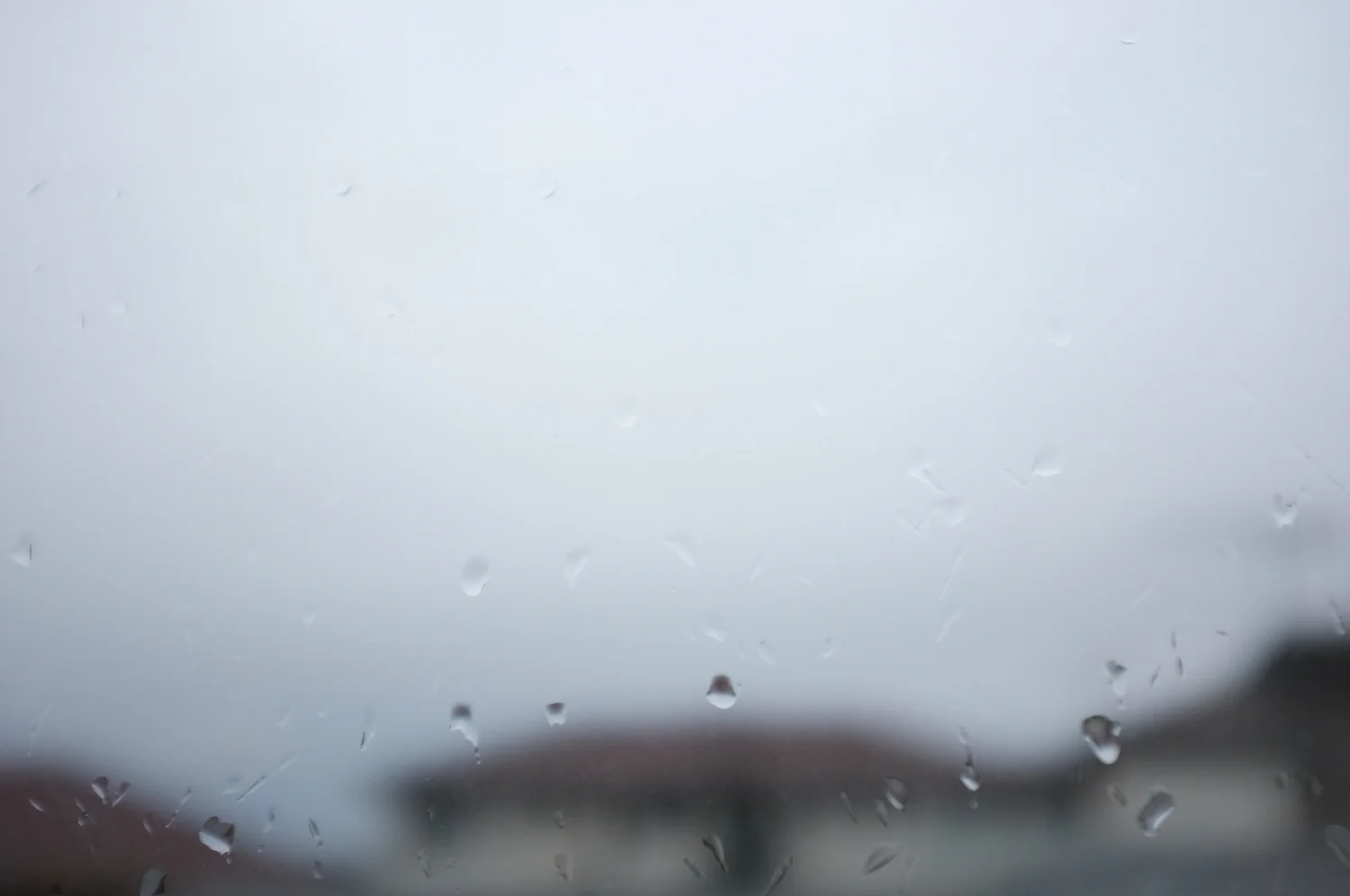 DSCF1052-sml.jpg