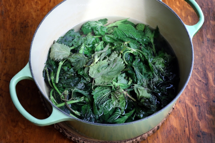 Nettle_Pesto_Soak.jpg