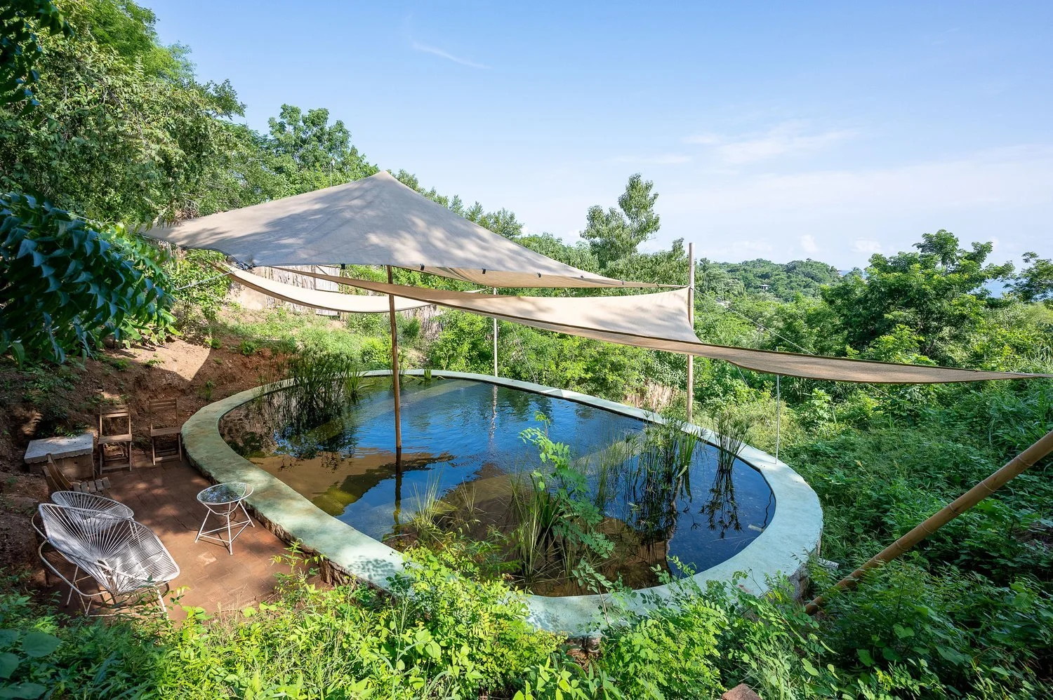 natural pool.jpeg